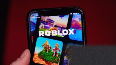 Australian government calls for review of Roblox PG rating after child grooming reports