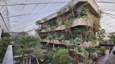 Barbican grants free entry to heated greenhouse conservatory