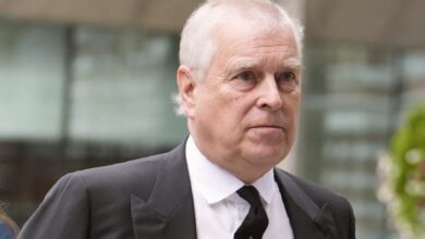 Epstein link to Andrew's trade envoy appointment alleged by MP