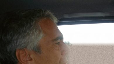Files link Jeffrey Epstein to cryptocurrency