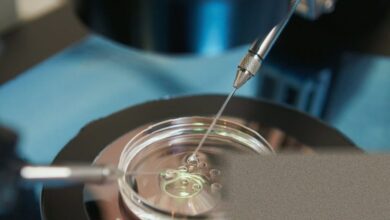 High Court rules in favour of fertility patients over embryo preservation following consent mishap