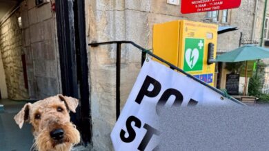 Ministers consider delaying local elections in England