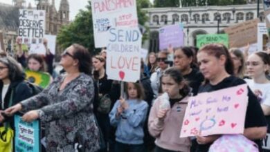 Ministry faces backlash over risky SEND overhaul