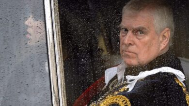 New Zealand follows Australia's lead in bid to strip Andrew Mountbatten-Windsor of succession rights