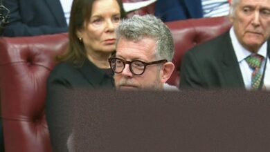 No 10 avoids addressing if Doyle row may lead to peerage loss