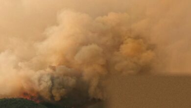 Patagonian ancestral forests ravaged by wildfires