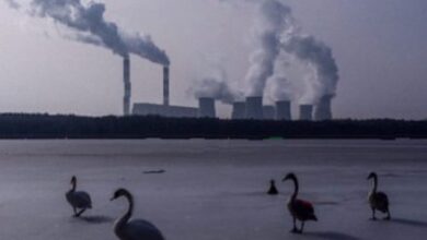 Polish city saves 6,000 lives through pollution reduction