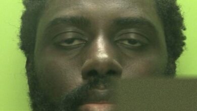 Race not reason for Nottingham killer's lack of sectioning, inquiry told