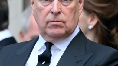 Robert Jenrick reveals Reform's backing for bill stripping Andrew of royal succession rights
