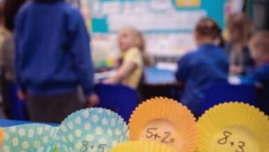 Send overhaul allocates funding for special needs pupils in English schools