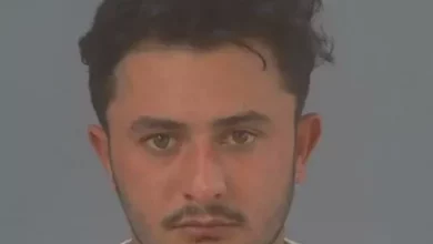 Sex attack by Afghan migrant on defenceless woman walking alone after night out
