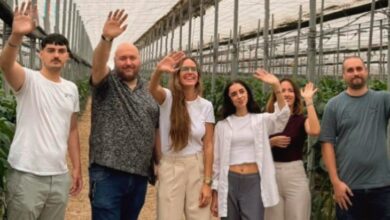 Spanish agtech Grodi secures €2.5M for automated greenhouse robot rollout