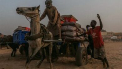 UN mission identifies genocide signs in RSF siege of El Fasher, Sudan
