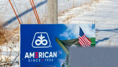 US chemical giant ends herbicide manufacturing following safety criticism over hazardous blend