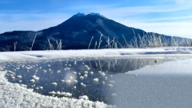 Weatherwatch highlights frost flowers beautifying icy landscapes