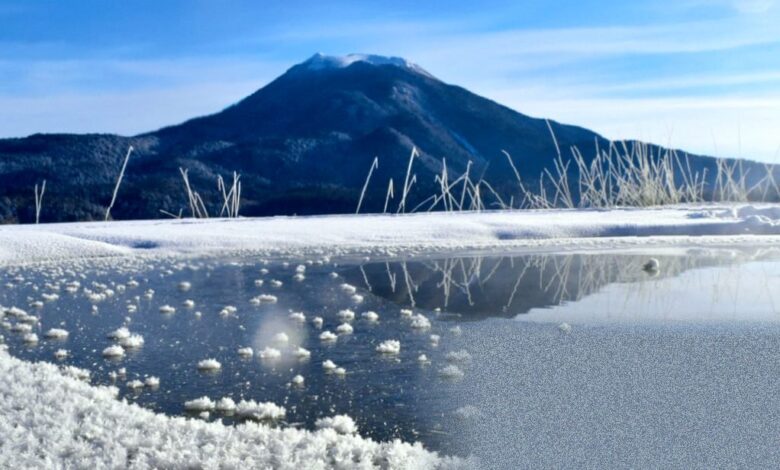Weatherwatch highlights frost flowers beautifying icy landscapes