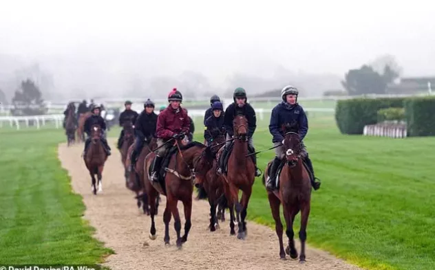 Cheltenham Breakfast previews opening day tactics, McManus hopes and McCoy's 26-mile target