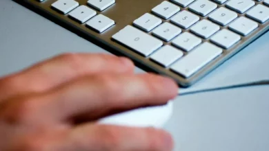 Companies House halts filings after technical fault exposes sensitive data
