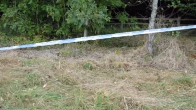 Latest request for clues marks 30 years since graduate Melanie Hall's murder