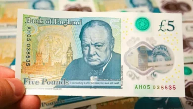 Nature and animals to take the place of famous people on British currency
