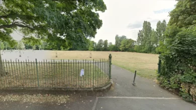 Passerby discovers body in park wheelie bin