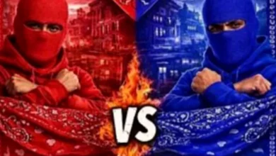 Social Media Exacerbates London School Rivalries, Poll Finds