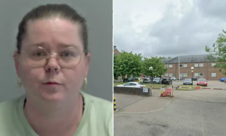 A woman in court, representing the fraudster jailed for deceiving lonely men on Facebook.