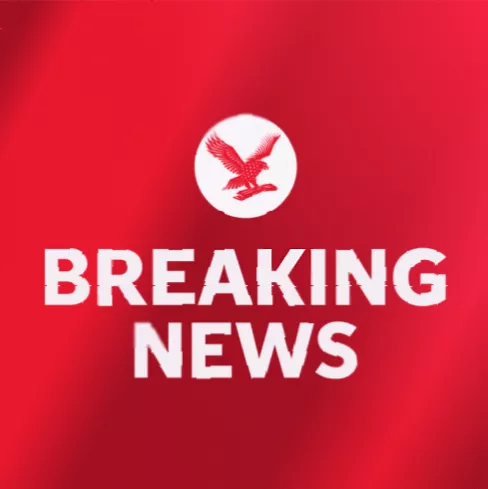 Armed police response at a residential property following a dog mauling.