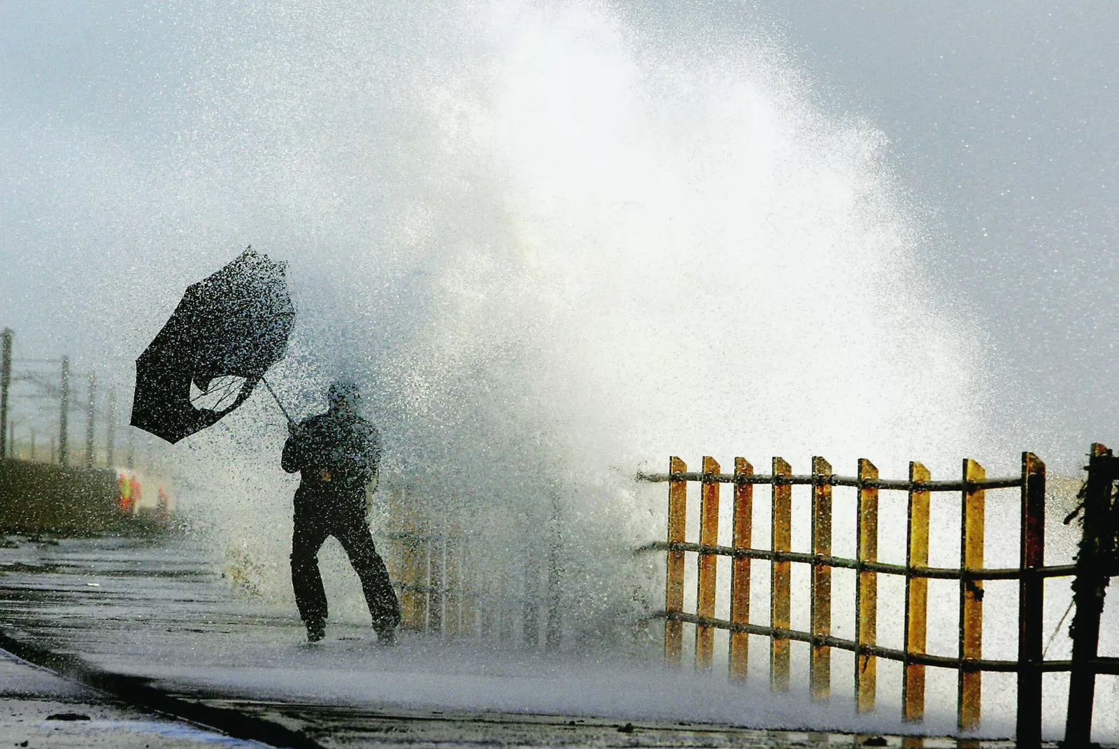 Fallen tree blocking a road during a severe UK storm.