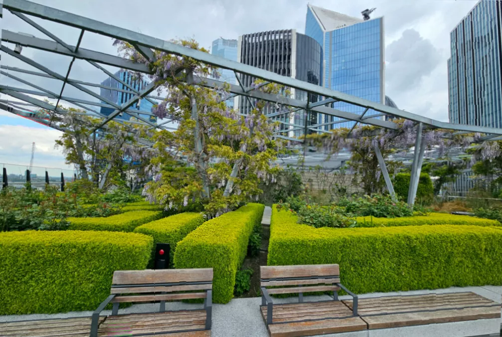 Intimate view of the Gherkin and Lloyd's Building from a mid-level city garden