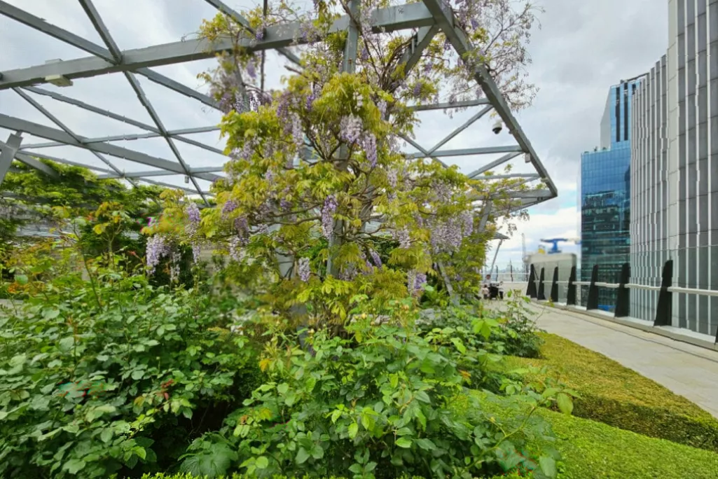 Visitors seated among greenery on a free public rooftop terrace in the City of London