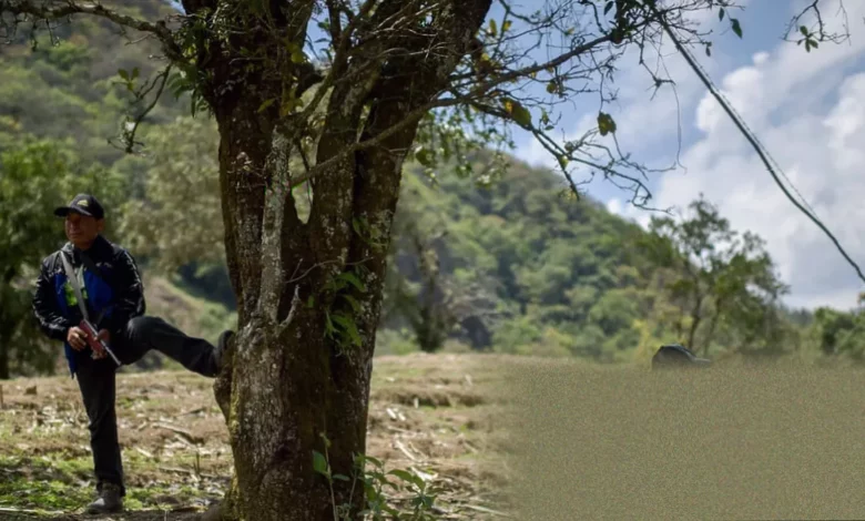 Indigenous families fleeing through a mountain village after cartel drone attacks in Guerrero