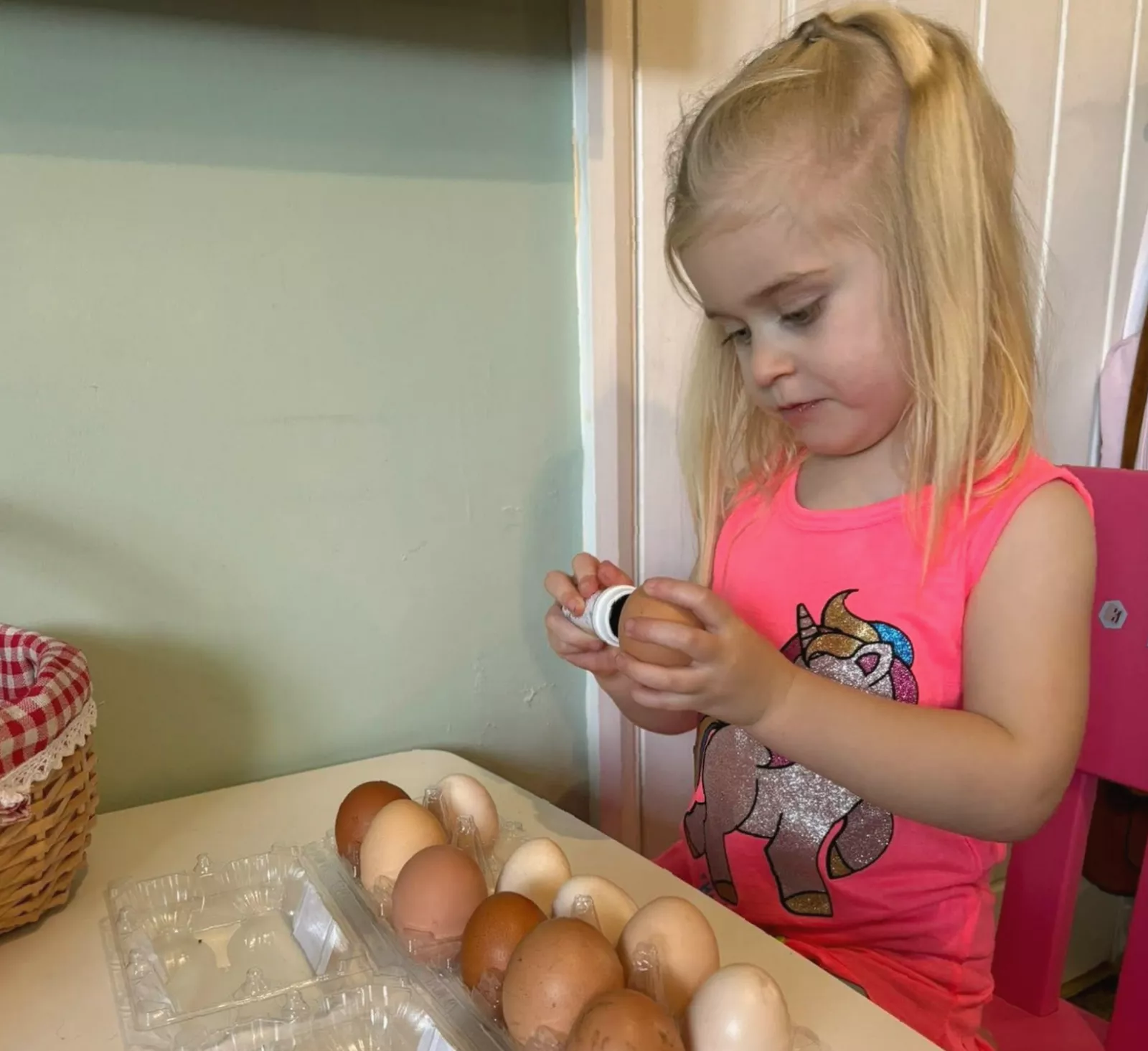 A four-year-old girl collecting fresh eggs from her chicken coop in a garden