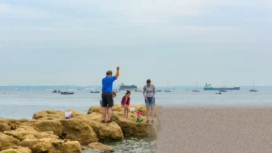 Coastal waters off the south of England where PFAS contamination was found in the Solent.