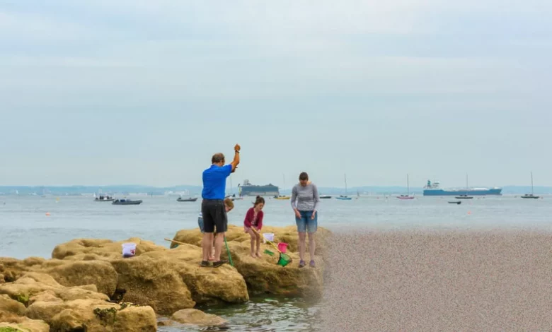 Coastal waters off the south of England where PFAS contamination was found in the Solent.