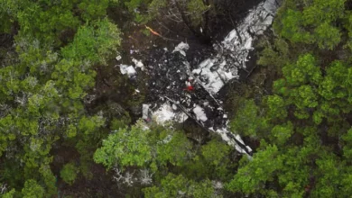 Wreckage of a small plane scattered across a wooded area near Wimberley, Texas