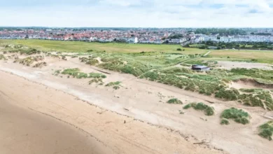 Aerial view of a seaside town with residential properties near the coastline