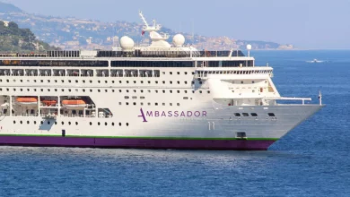 Cruise ship docked at Bordeaux port with passengers beginning to disembark