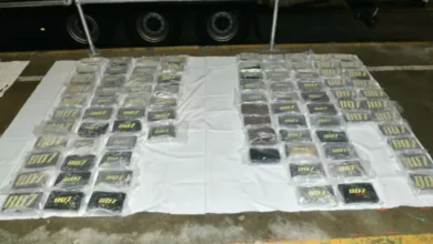 Border Force X-ray scanner at Harwich port detecting irregularities in lorry trailer doors
