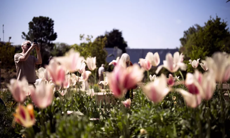 A sunny park scene with people enjoying warm weather during a bank holiday weekend