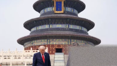Trump and Xi walking in the Zhongnanhai Garden in Beijing