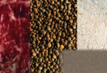 Fresh beef cuts displayed on a wooden chopping board in a kitchen