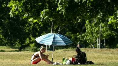 A parent applying sunscreen to a baby in a shaded garden during a heatwave