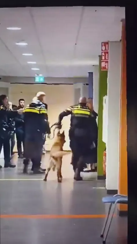 A police officer with a baton and German Shepherd dog standing near a woman during a disturbance