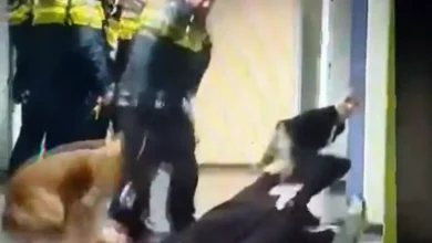 A pregnant woman on the floor in a corridor at an asylum seeker centre in Zeist, Netherlands