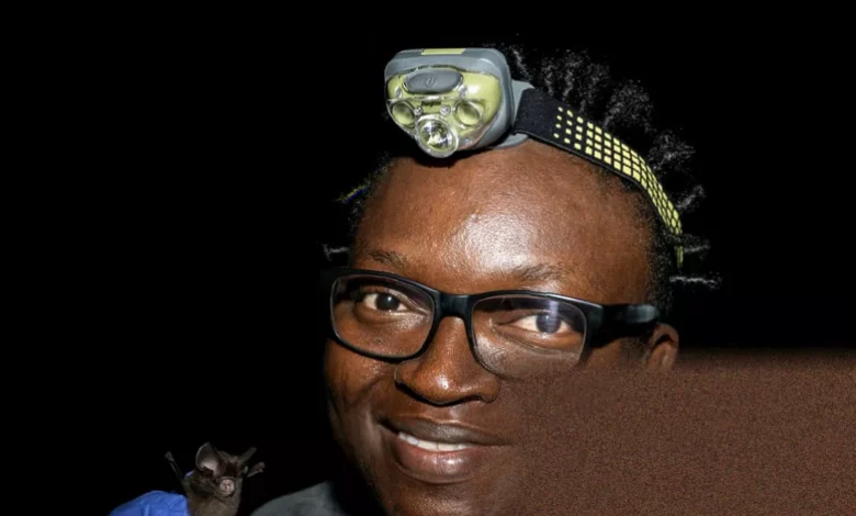 A biologist using a red light at night in a Nigerian forest cave to observe bats