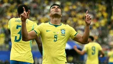 Houston Stadium pitch during Brazil v Japan World Cup knockout match