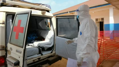 Laboratory scientists working on experimental vaccine candidates for the Bundibugyo Ebola strain