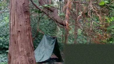 Two children building a den with rope and tarpaulin between trees in a wooded area