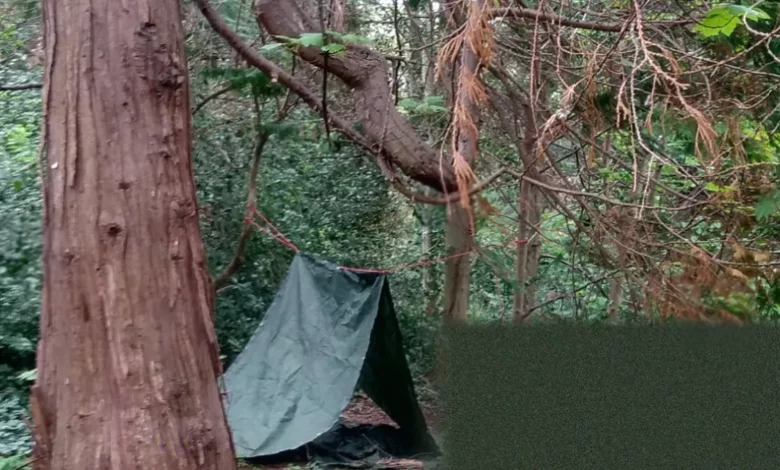 Two children building a den with rope and tarpaulin between trees in a wooded area